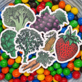 Vegetables Sticker Pack